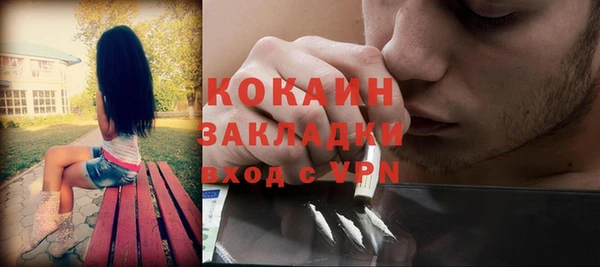 гашиш Богданович