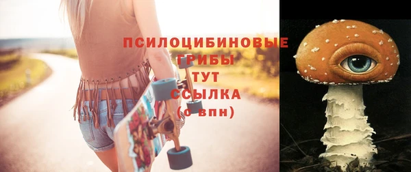 синтетический гашиш Богородск