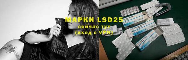 гашиш Богданович