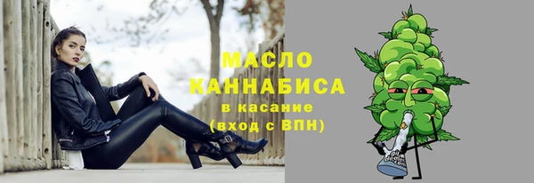 дмт Богородицк