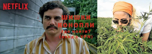 гашиш Богданович