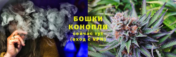 дмт Богородицк